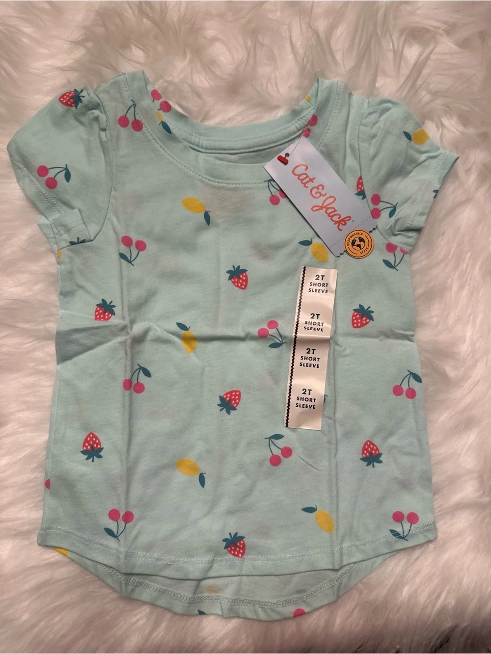 Cat & Jack Mint Green Short Sleeve Tee with Strawberry Cherry and Lemon Print